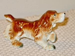 Jagdhund Zeiger Top - Bild 1 von 2