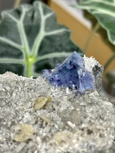 Blue Fluorite with Purple Saturation, Siderite, Quartz, and Pyrite - Hunan Prov. - Picture 1 of 6