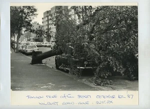 Storm Damage Hove Sussex - Foto de prensa 1987 #3 - Imagen 1 de 1