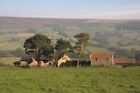 Photo 6X4 Olive House Low Mill/Se6795 With Sheltering Trees, This Farm W C2007
