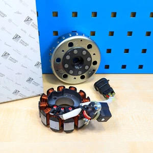 Original Alternador para Aprilia Sr Gilera Runner Piaggio NRG Ditech Ej. 50 - Imagen 1 de 2