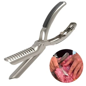 Stabiles Metall-Grillwerkzeug für effiziente Rippenmembranentfernung und Fleisc - Picture 1 of 7