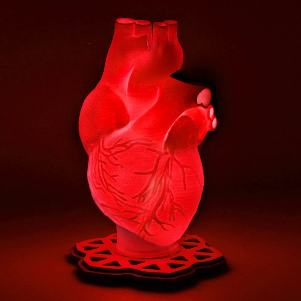 Lámpara de acento impresa en 3D corazón humano - luz LED - base de madera real - cuerpo de anatomía Foto 1 de 4