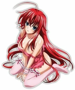 Calcomanía Pegatina 003 para Ventana de Coche High School DxD Rias Anime 003 - Imagen 1 de 1