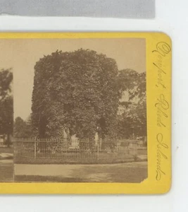 Old Stone Mill Rhode Island RI Union View Stereoview - Picture 1 of 2