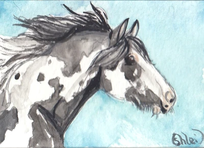 Tarjeta de arte de acuarela original ACEO CABALLO tobiano sabino Heavy Vanner Cob castrado Foto 1 de 3