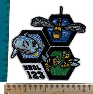 MILITARY BLACK OPS NRO PATCH - NROL-123 FIRST LAUNCH ON AN ELECTRON - Picture 1 of 1