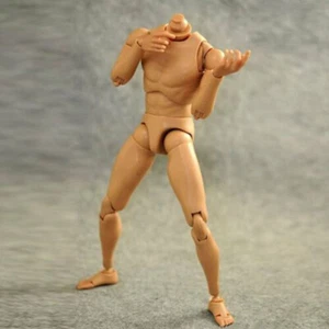 1/6th Narrow Shoulder Male Body Model for 12" TTM18 TTM19 Figure Doll - Picture 1 of 5