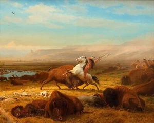 Native American Hunting Buffalo Painting 8x10 Museum Grade Giclee Paper A32 - Picture 1 of 5