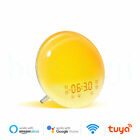 WiFi Smart Wake Up Light Workday Alarm Clock with 7 Colors Sunrise Sunset Tuya