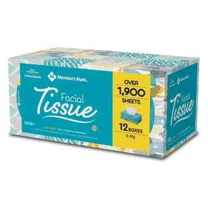 Member’s Mark 2-Ply Facial Tissues, Flat Boxes (160 tissues/box, 12 boxes) - Picture 1 of 4