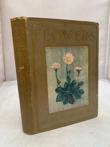 Flowers Shown To The Children by J H Kelman - HB Colour Illustrated - Imagen 1 de 7