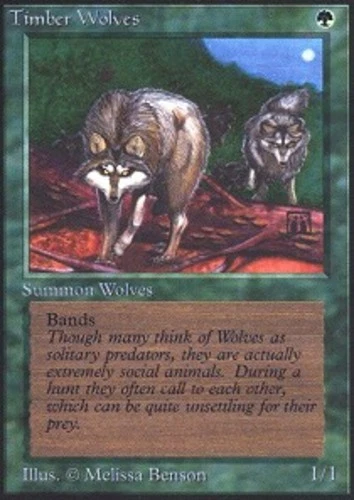 MTG Timber Wolves, Heavy Play, English Beta - Image 1 of 1