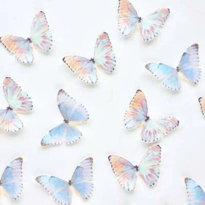 Edible Pre-Cut Wafer Butterfly - Rainbow and Purple - Picture 1 of 3