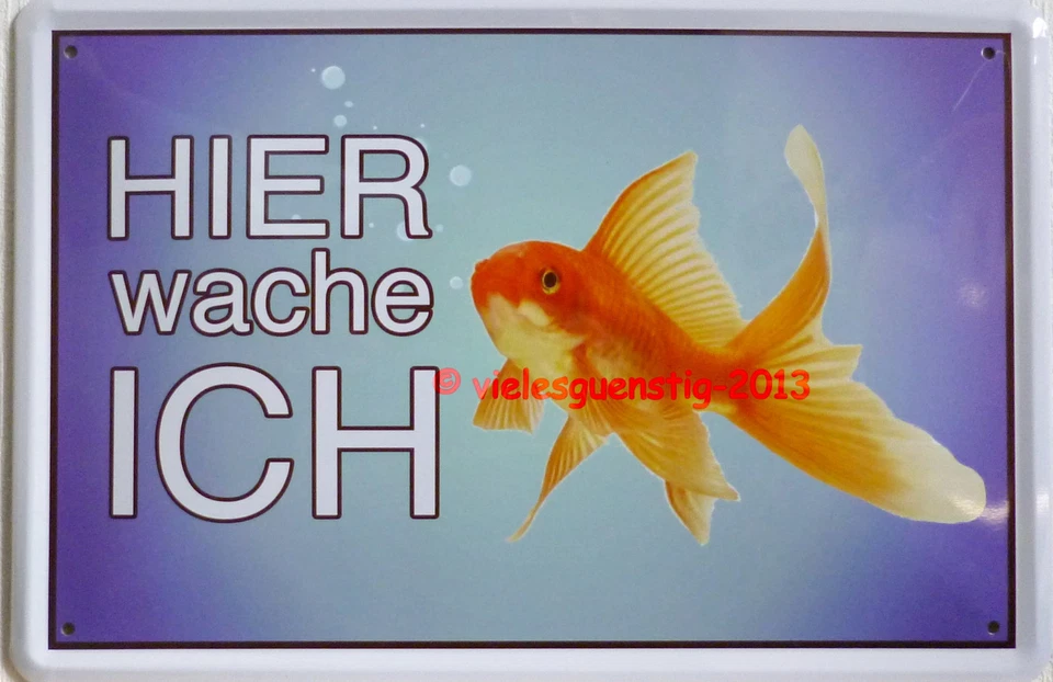 Blechschild 20x30 cm Schild Hier wache ich Goldfisch Fisch Haustier - Bild 1 von 1