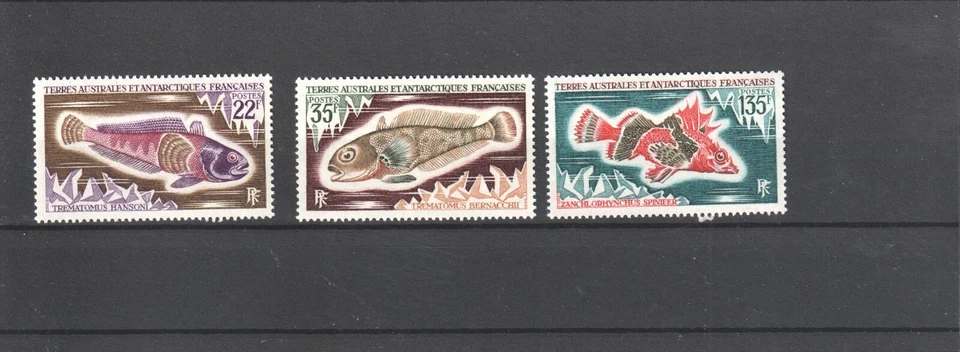 TAAF MNH 1971 FISH - 10520 - Image 1 of 1