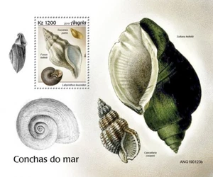 Angola - Conchas marinas 2019 en estampillas - Hoja de recuerdo de estampillas - ANG190123b - Imagen 1 de 1