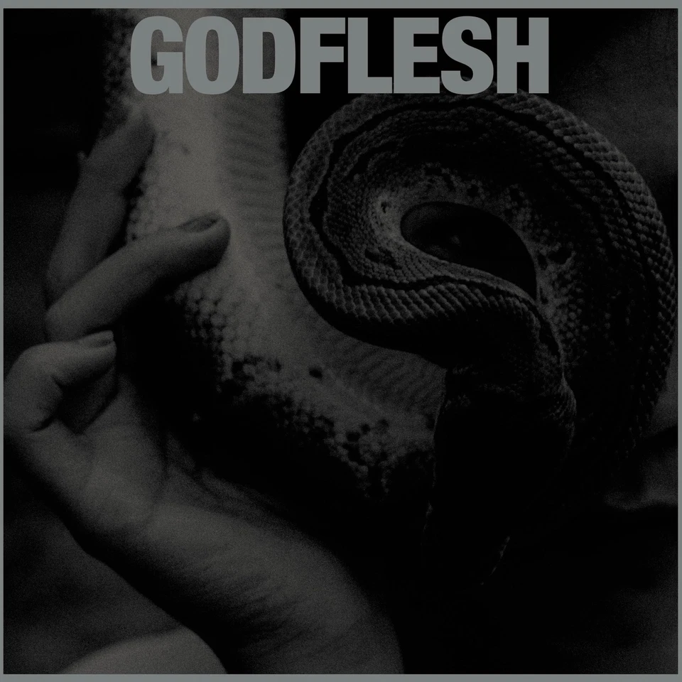 Godflesh Purge (Vinyl) 12" Album (UK IMPORT) - Image 1 of 1