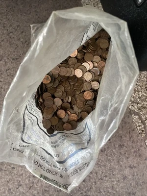 30 pounds of copper pennies 1959-1982. All 1982  are weighed when sorted. - Image 1 of 2