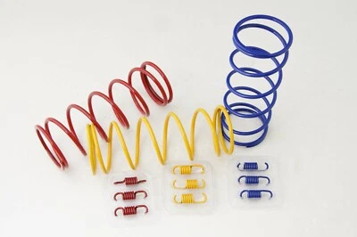 Kit de resorte de carreras CVT embrague se adapta a GY6 125 150 Scooter Buggy ATV Quads EE. UU. GA Foto 1 de 2