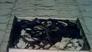 Vintage assorted shoe laces in all colors, sizes, wrappings - cigar box not incl - Picture 1 of 1