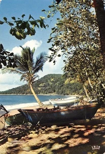 971-GUADELOUPE-N��3823-C/0041 - Bild 1 von 2