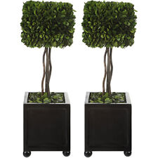 Uttermost Preserved Boxwood Square Topiaries (Set of 2) - 19 Black/Green 19