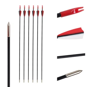 6pcs 31in Fiberglass Arrows Recurve Straight Bow Practice Arrows Outsourcing - Picture 1 of 12