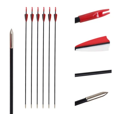 6pcs 31in Fiberglass Arrows Recurve Straight Bow Practice Arrows Outsourcing - Image 1 of 4