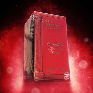 Beautiful Rouge Extrait Maison Perfume Paradise Eau De Parfum 100ml 3.4 FL OZ - Picture 1 of 1