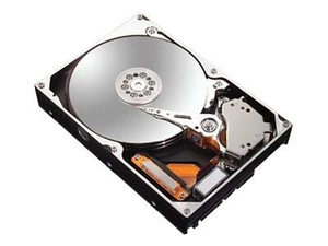 Disco duro 6L120M0 Maxtor DiamondMax 10 SATA 6L120M0 - Imagen 1 de 1