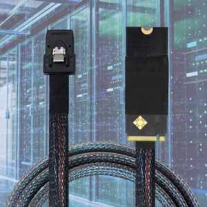 M.2 NVMe 2260 to MiniSAS SFF-8087 Server Cable Insulation Resistance 500M Ohm - Photo 1/10