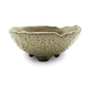 Nuevo Bonsai Olla Cerámica Banko Artículos Pasto Crema Onda Redonda Ancho 15cm Altura 7cm - Imagen 1 de 6