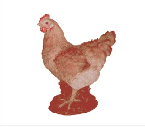 Border Concepts - Lawn/Garden Statue - Orpington Summer Hen - 11" - Picture 1 of 1