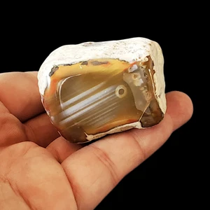 Amazing Stone Agate Nodule Polished From Banten - Picture 1 of 4