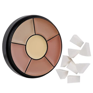 MEICOLY 6 Shades High Coverage Concealer,Tattoo Cover Palette,Cover Bruises, Tat - Picture 1 of 12