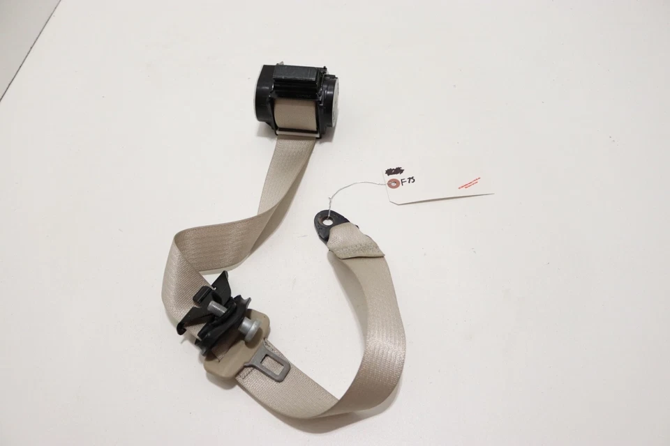 Cinturón de seguridad Buick Envision 2016-2020 pasajero trasero derecho segunda fila OEM Foto 1 de 4