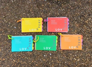 Lovevery Spielset Anleitungen 31-45 Monate (Posten von 5 Heften) - Bild 1 von 8