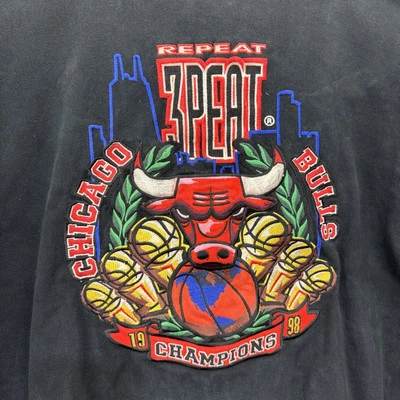 Chaqueta De Colección Chicago Bulls Jeff Hamilton 3 Turba Iceberg Slim Ice T 1998 Rara Foto 1 de 4