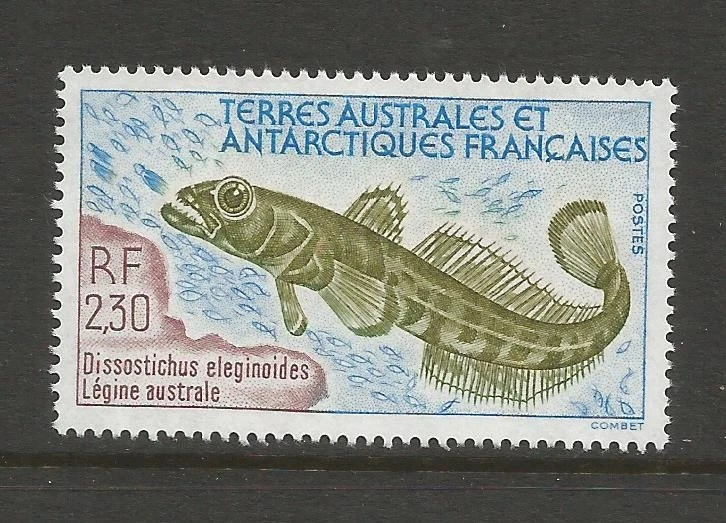FRENCH ANTARCTIC 1992 FISH.  MINT NEVER HINGED. - Image 1 of 1