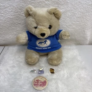 Kentucky Horse Park Souvenir Stuffed Animal Plush Bear With Kentucky Hat Pins - Picture 1 of 16