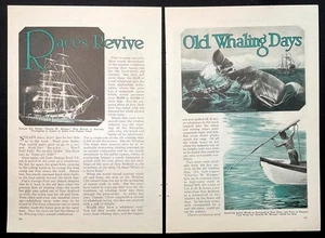 Walbootrennen 1930 Artikel "Races Revive Old Whaling Days" George Fred Tilton - Bild 1 von 3