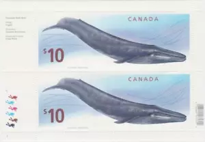 Canada 2010 pane 2405 - Blue Whale MNH - Picture 1 of 1