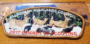 "Friends of Scouting" CSP SA-169 [moww] - Foto 1 di 2