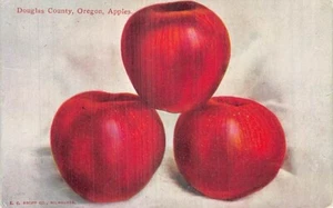 Postal O: Manzanas, Condado de Douglas, Oregón, Antigua Base de Datos Publicada 1912 - Imagen 1 de 2
