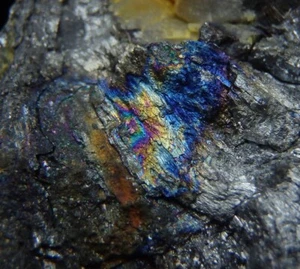 CHALCOSTIBITE & SCAINIITE very rare! SLOVAKIA Liptovský Mikuláš - Dúbrava /pl382 - Picture 1 of 19