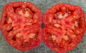 Tomate Moruno de Anchuras - 5+ semillas - semillas - p 490 - Imagen 1 de 1