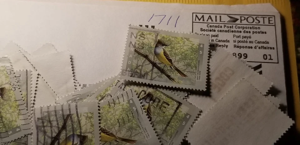 Un sello de Canadá #1711-PÁJARO-GRAN PAPAMOSCAS CON CRESTA-(1998)-45c Foto 1 de 1