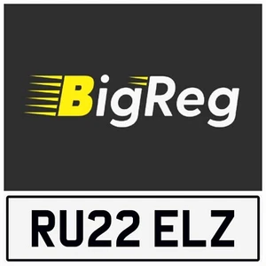 RUSSELLS🤩DEBE LEER RUSSELL RUSS RU55 MATRÍCULA PRIVADA RU22 ELZ - Imagen 1 de 4