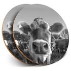 2 x Coasters bw - Funny Cow Farm Farmer Animal  #39572